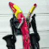 Ski Rack