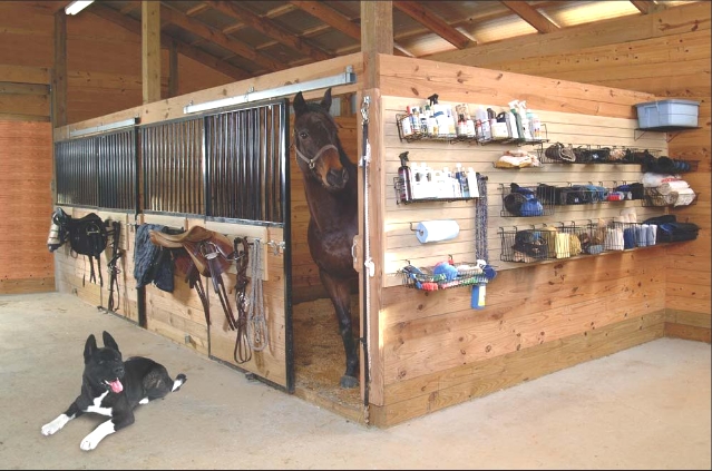 Tack Room Storage